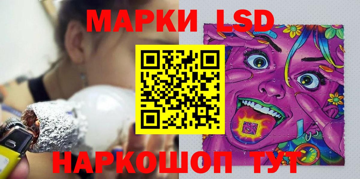 Бердск  Наркотические марки 1500мкг  Вход с VPN  Наркотические марки 1500мкг 